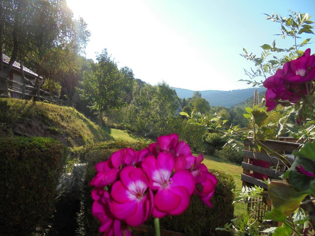 Auberge De La Grange Spa & Sauna พลาฟัง ภายนอก รูปภาพ